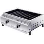 ATASH MEHR Propane BBQ Grill
