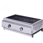 ATASH MEHR Propane BBQ Grill - Image 2